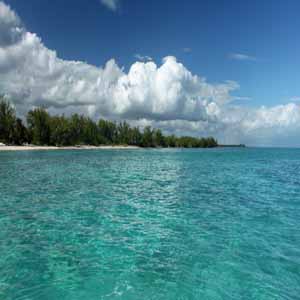 The Bahamas & Southern Florida