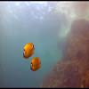 Thailand - Koh Tao